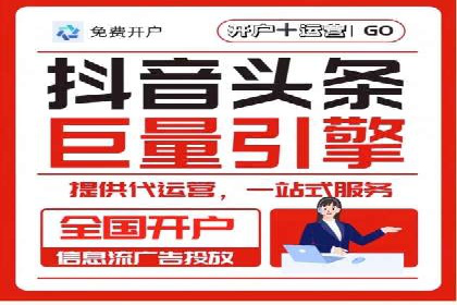 百度竞价SEM成功案例：揭秘广告投放秘诀